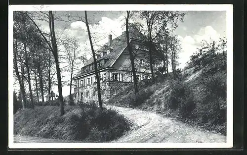 AK Eitorf /Sieg, Waldweg zur Jugendherberge