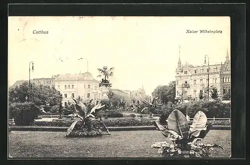 AK Cottbus, Kaiser-Wilhelm-Platz mit tropischen Pflanzen