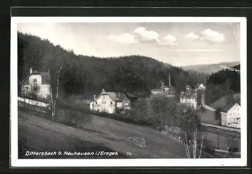 AK Dittersbach i. Erzgeb., Häuser am Waldrand