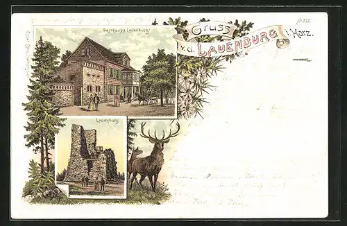 Lithographie Lauenburg i. Harz, Gasthaus zur Lauenburg, Ruine