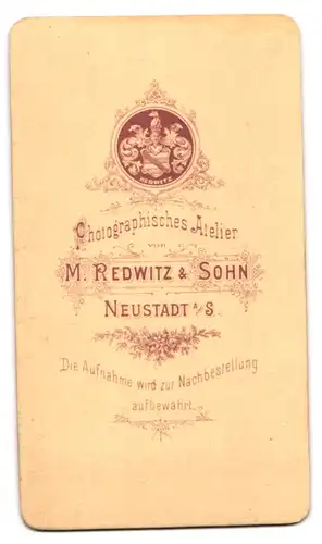 Fotografie M. Redwitz & Sohn, Neustadt a. S., Portrait junger Herr im Anzug mit Fliege