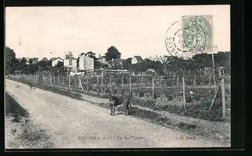 AK Crosne, Rue des Vignes