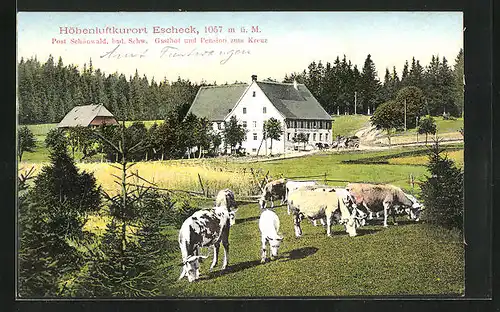 AK Escheck, Gasthof u. Pension zum Kreuz