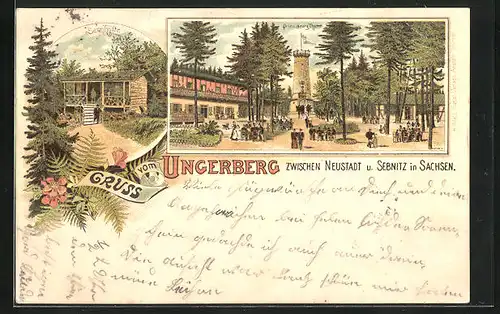 Lithographie Neustadt, Gasthaus Ungerberg, Sennhütte