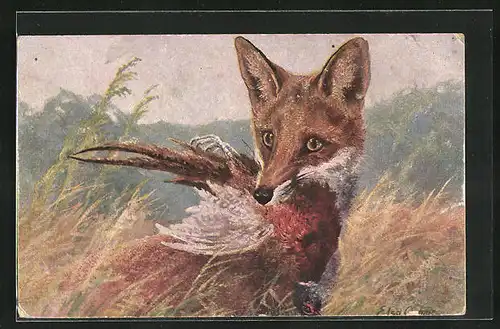 Künstler-AK Fuchs mit erlegtem Fasan
