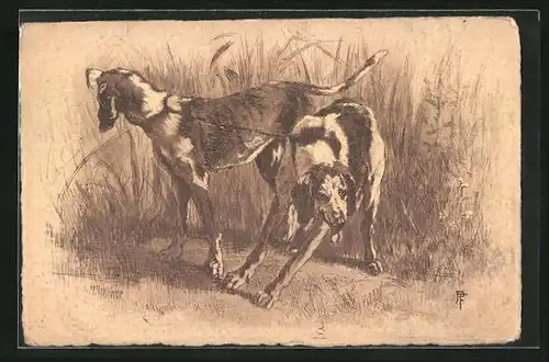Künstler-AK Aneinandergekettete Jagdhunde im Feld