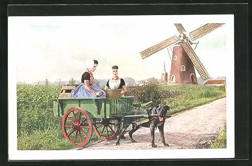 AK Frau in Trachten in Hundegespann, Windmühle