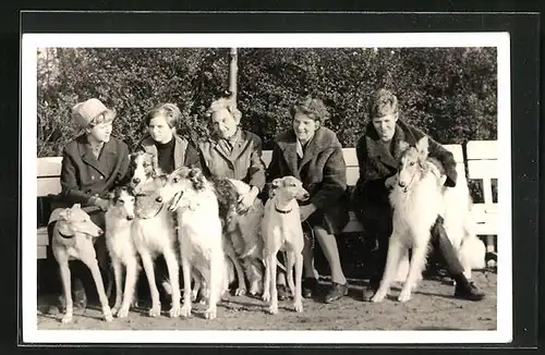 Foto-AK Frauen auf der Bank mit Windhunden
