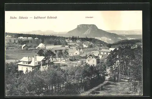 AK Gohrisch /Sächs. Schweiz, Ortsansicht mit Lilienstein im Hintergrund