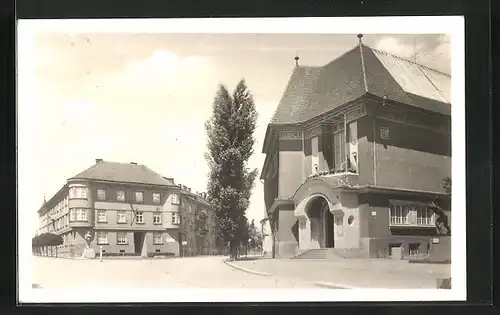 AK Göding / Hodonin, Dum umelcu