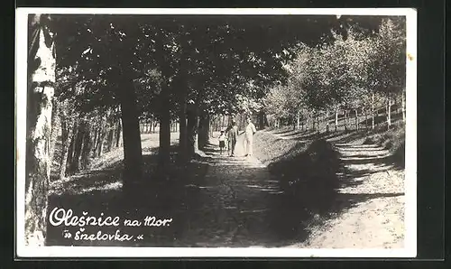 AK Olesnice na Mor., Spaziergang in der Allee