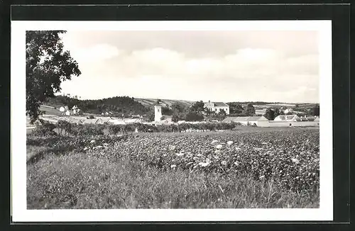 AK Habrovany, Panorama, Kostel