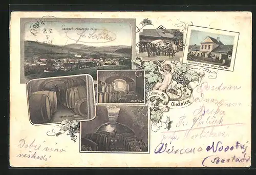 AK Olesnice, Velkoobchod vinem Fr. Sedlacek, Celkovy pohled, Stary sklep