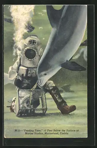 AK Marineland, Florida, M-11 Feeding Time, 15 Feet Below the Surface at Marine Studios, Taucher und Delfin unter Wasser