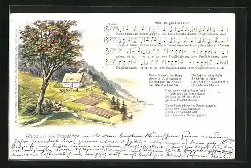 AK Lied Dar Duglbärbaam, Frau sitzt unterm Baum mit Blick ins Tal