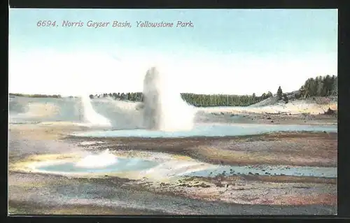 AK Yellowstone Park, Norris Geyser Basin, Geysir