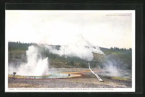 AK Yellowstone Park, The constant and the black Growler, Norris Geyser Basin, Geysir