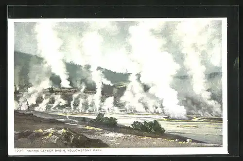 AK Yellowstone Park, Norris Geyser Basin, Geysir