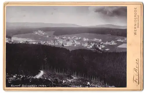 Fotografie Fr. Rose, Wernigerode, Ansicht Hahnenklee, Kurort vom nahen Hügel aus gesehen