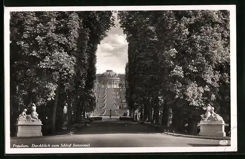 AK Potsdam, Durchblick zum Schloss Sanssouci