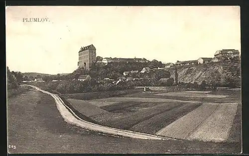 AK Plumenau in Mähren, auf der Strasse in die Stadt, Blick auf das Schloss