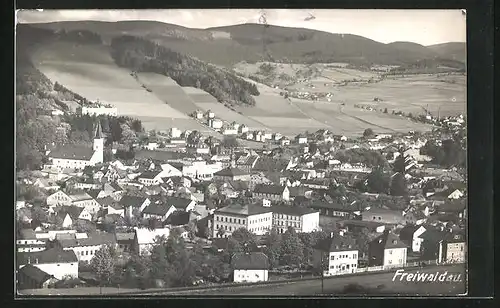 AK Freiwaldau, Blick über die gesamte Stadt