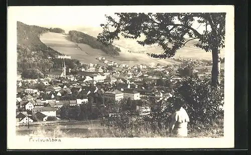 AK Freiwaldau, Frau auf der Wiese mit Blick hinab auf die gesamte Stadt