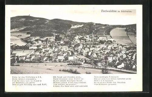 AK Freiwaldau in Schlesien, Generalansicht der Stadt