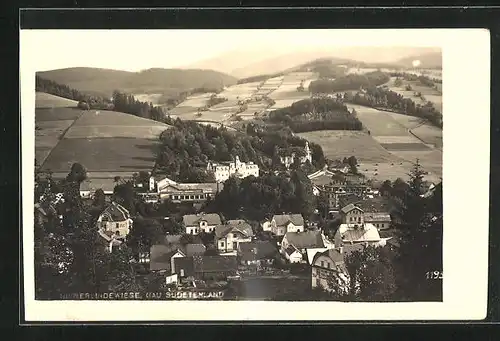 AK Niederlindewiese im Sudetenland, Blick auf die gesamte Wohnsiedlung