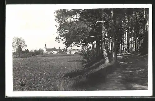 AK Konice, auf dem Waldweg mit Blick zur Kirche im Ort