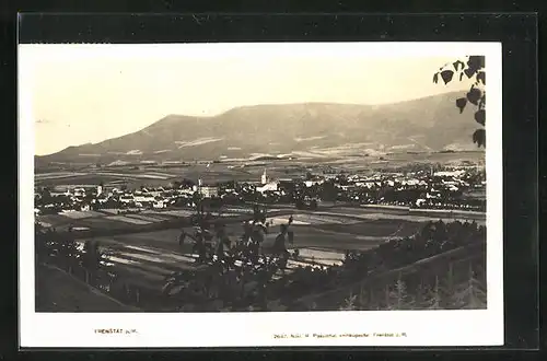 AK Frenstat p. R., Celkovy Pohled