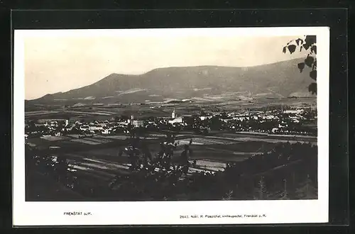 AK Frenstat p. Radh., Blick über die gesamte Stadt