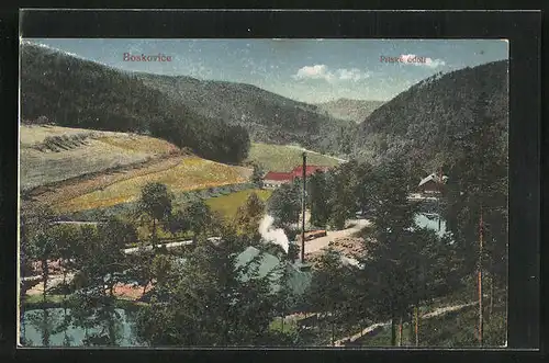 AK Boskovice, Talansicht mit der Siedlung