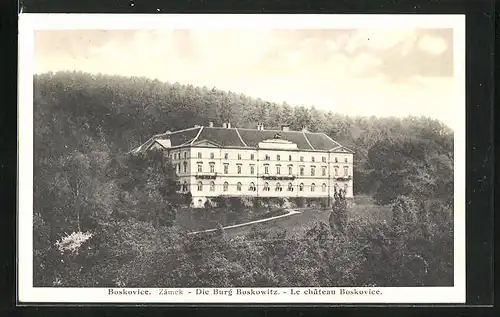 AK Boskowitz, Vorderansicht der Burg im Wald