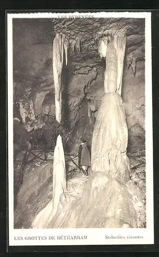 AK Betharram, Les Pyrenees, Les Grottes, Stalactites vivantes, Höhle