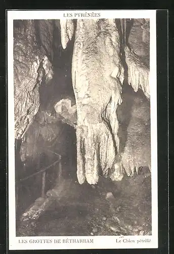 AK Betharram, Les Pyrenees, Les Grottes, Le Chien Petrifie, Höhle