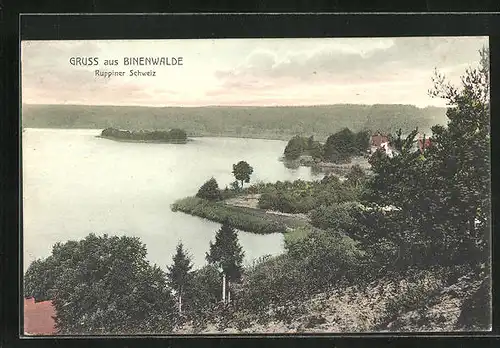 AK Binenwalde i. d. Ruppiner Schweiz, Blick auf die Häuser am Ufer