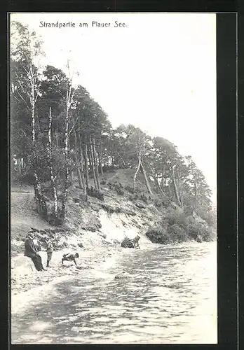 AK Plau, Strandpartie am Plauer See
