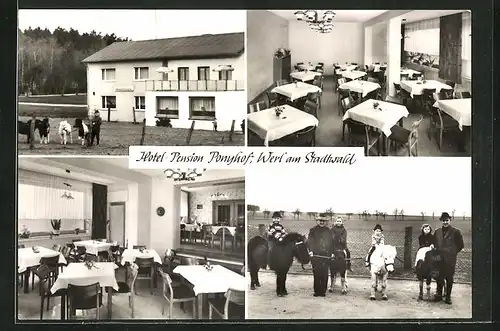 AK Werl am Stadtwald, Hotel-Pension Ponyhof