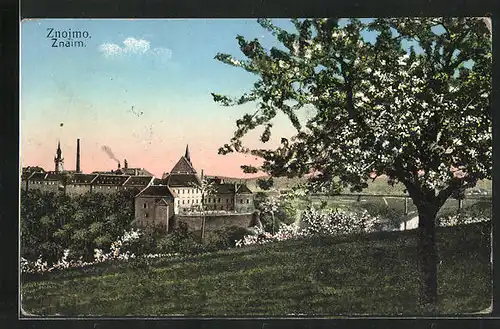 AK Znojmo, Celkový pohled