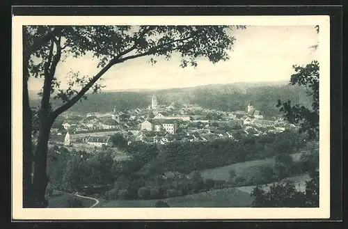 AK Mor. Krumlov, Celkový pohled