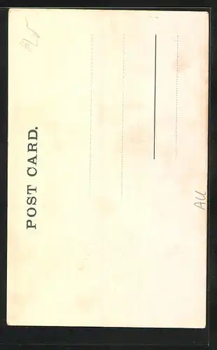 AK Adelaide, Town Hall