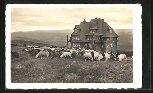 AK Radhoscht, Hotel Radegost