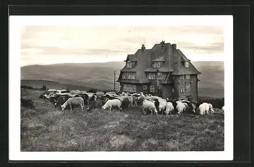 AK Radhoscht, Hotel Radegost