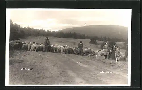 AK Radhost, Schäfer mit Schafherde