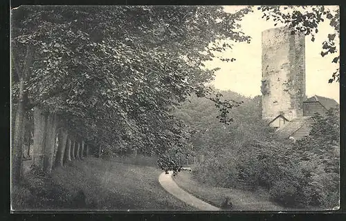 AK Einbeck, Wall mit Storchenturm