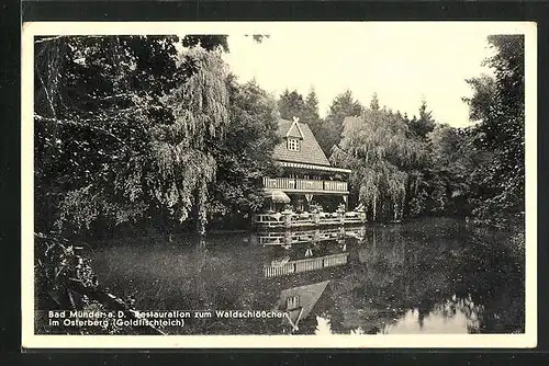 AK Bad Münder, Gasthaus zum Waldschlösschen im Osterberg, Goldfischteich