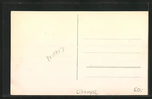 AK Leitomischl / Litomysl, Zámek