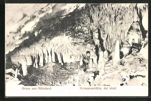 AK Rübeland, Hermannshöhle, der Wald