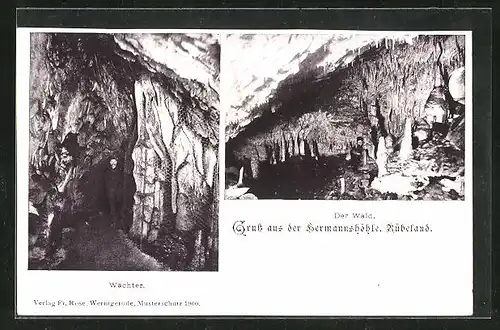 AK Rübeland, Hermannshöhle, Wald & Wächter